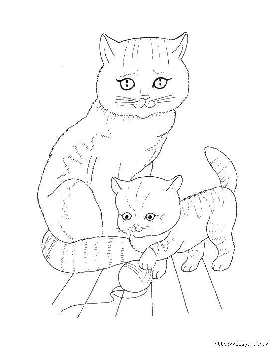 Название: Раскраска Кошка и котенок с клубком. Категория: котики. Теги: кошка, котенок, клубок.