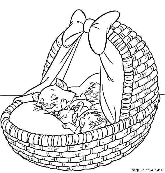 Coloring The cat and kittens in basket. Category seals. Tags:  basket , cat, kitten, bow.