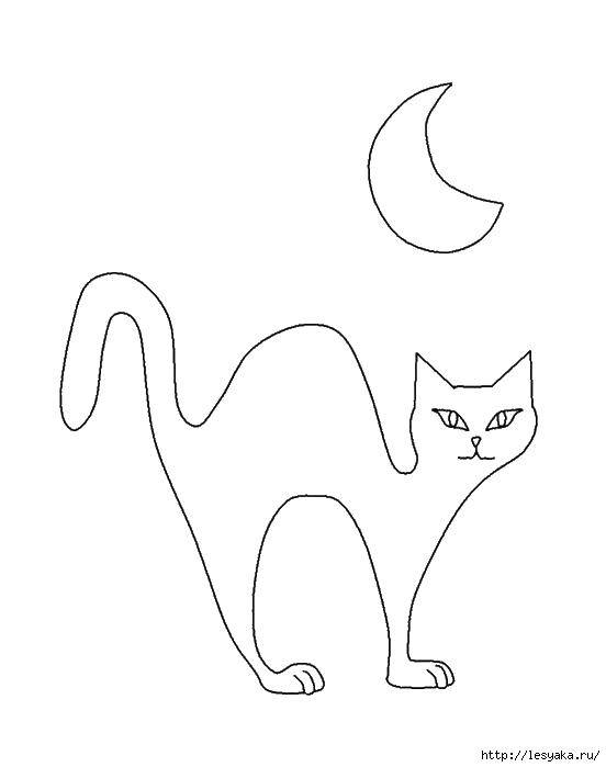 Название: Раскраска Кошка и месяц. Категория: котики. Теги: кошка, хвост, луна.