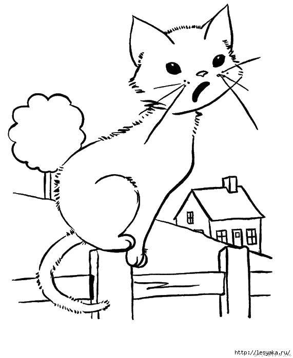 Название: Раскраска Кошка на заборе. Категория: котики. Теги: кошка, забор, дом.
