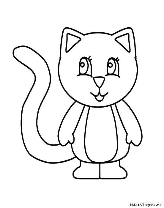 Coloring Cat. Category seals. Tags:  cats, kitties.