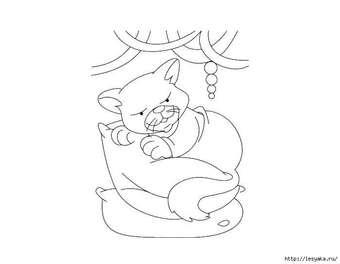 Coloring The cat on the pillow. Category seals. Tags:  cats, cats, animals.