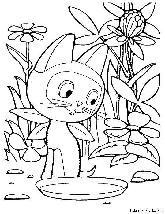 Название: Раскраска Котенок гав и миска. Категория: котики. Теги: котенок, миска, цветы.