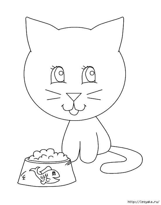 Название: Раскраска Котенок и миска корма. Категория: котики. Теги: котенок, миска, корм, рыбка.