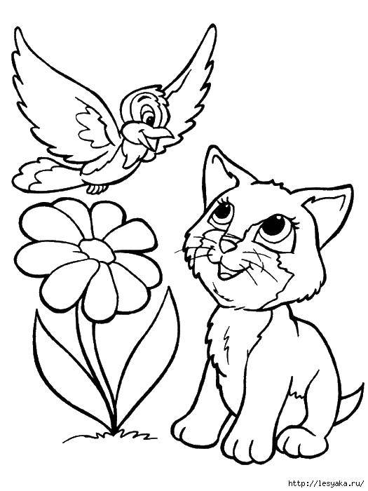 Название: Раскраска Котенок и птичка на цветке. Категория: котики. Теги: котенок, птичка, цветок.