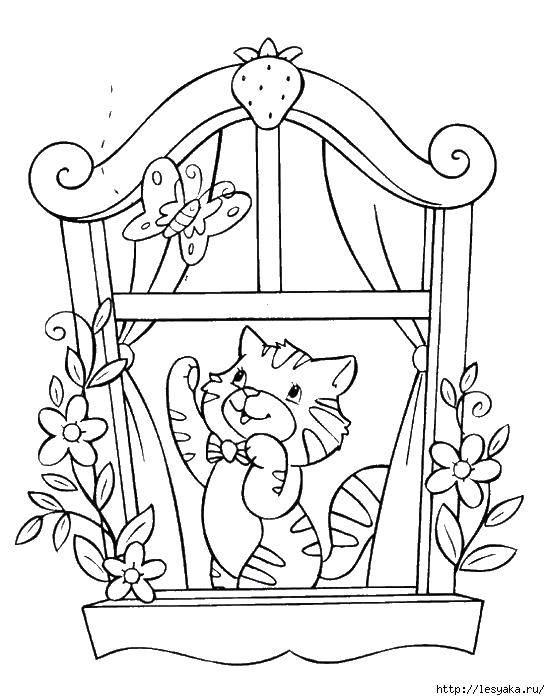 Название: Раскраска Котенок в окне. Категория: котики. Теги: котенок, окно, цветы, бабочка.