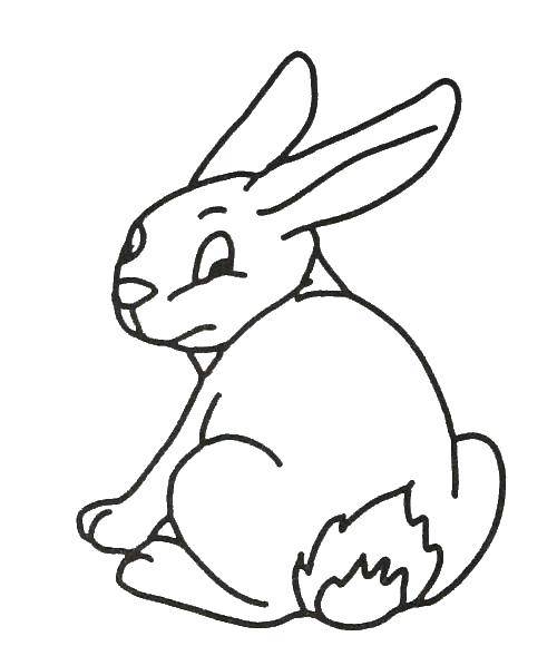 Coloring Khrolenok. Category Animals. Tags:  animals, Bunny, bunnies.