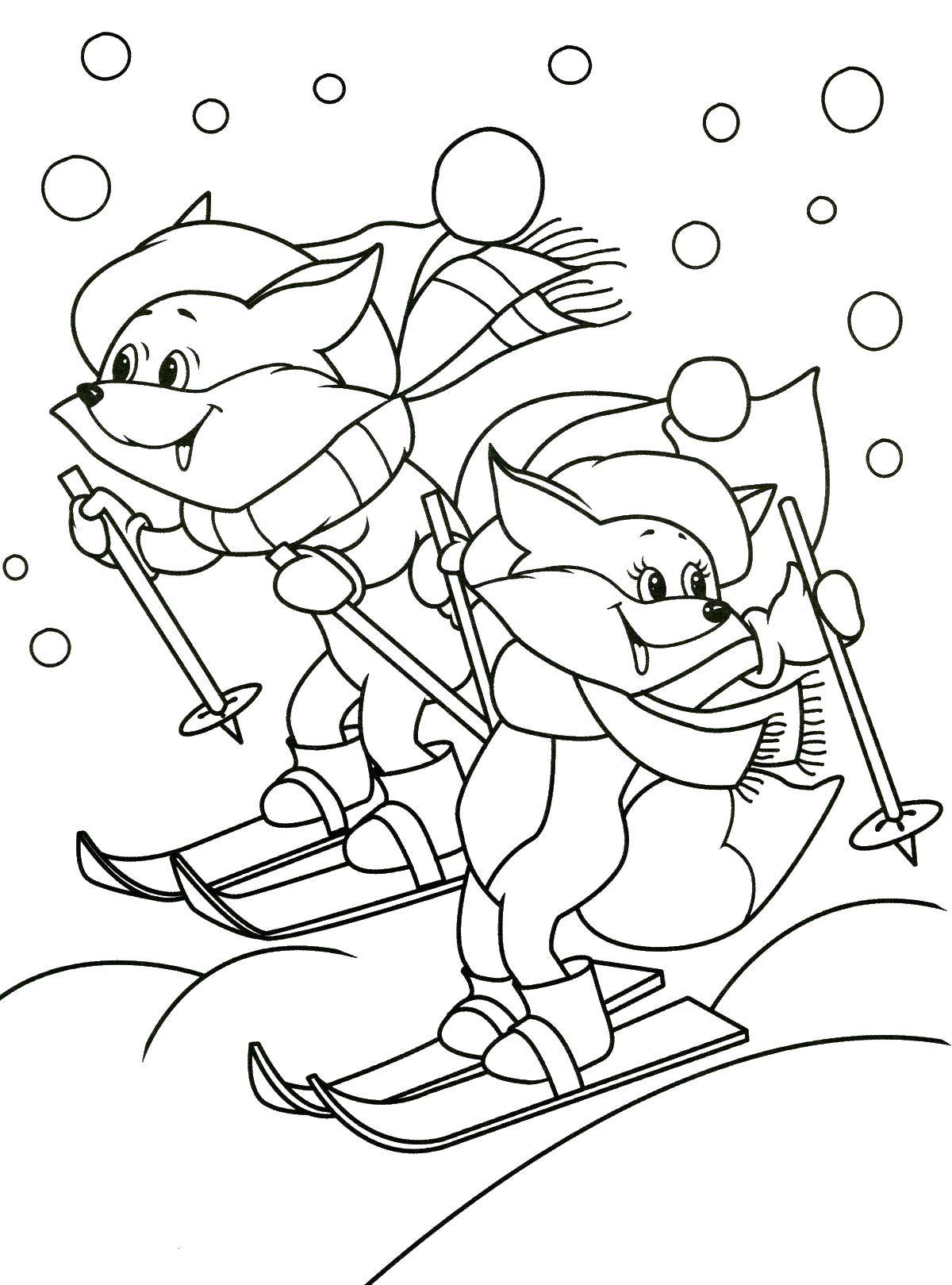Название: Раскраска Лисички на лыжах. Категория: зима. Теги: зима, лисички, лыжи.
