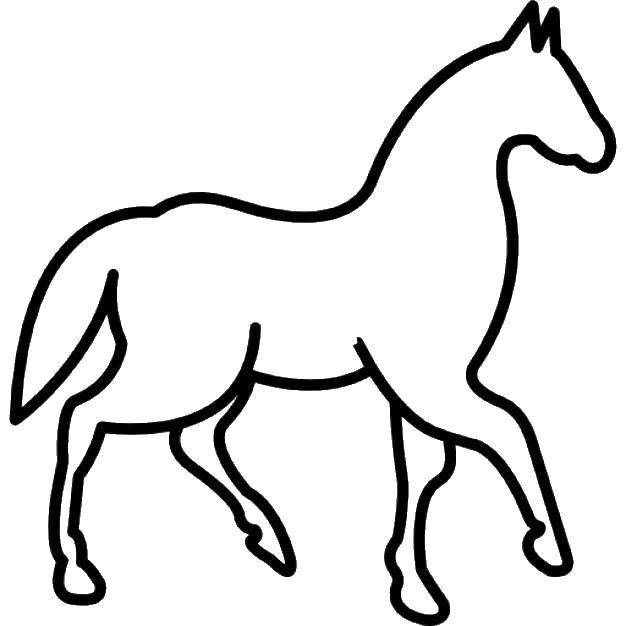 Coloring Horse contour. Category the contours of the horse. Tags:  contour, horse, tail.