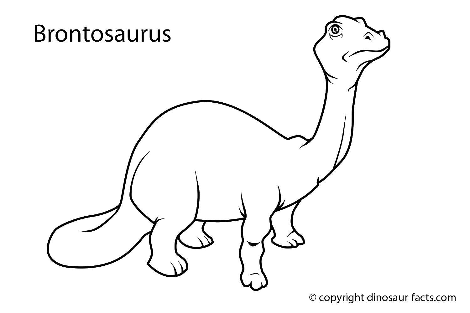 Название: Раскраска Малеький бронтозав. Категория: парк юрского периода. Теги: бронтозавр, динозавр, хвост.