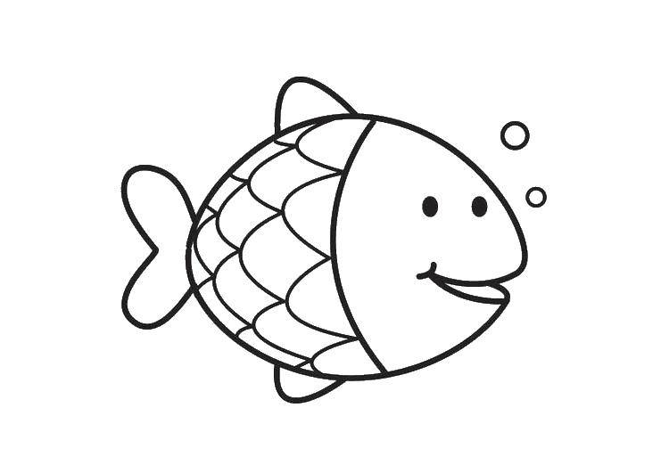 Название: Раскраска Маленькая рыбка. Категория: рыбы. Теги: рыбы, рыбки, чешуя.