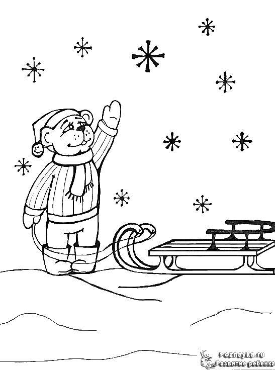 Название: Раскраска Мишка и санки. Категория: зима. Теги: медведь, санки, снежинки.
