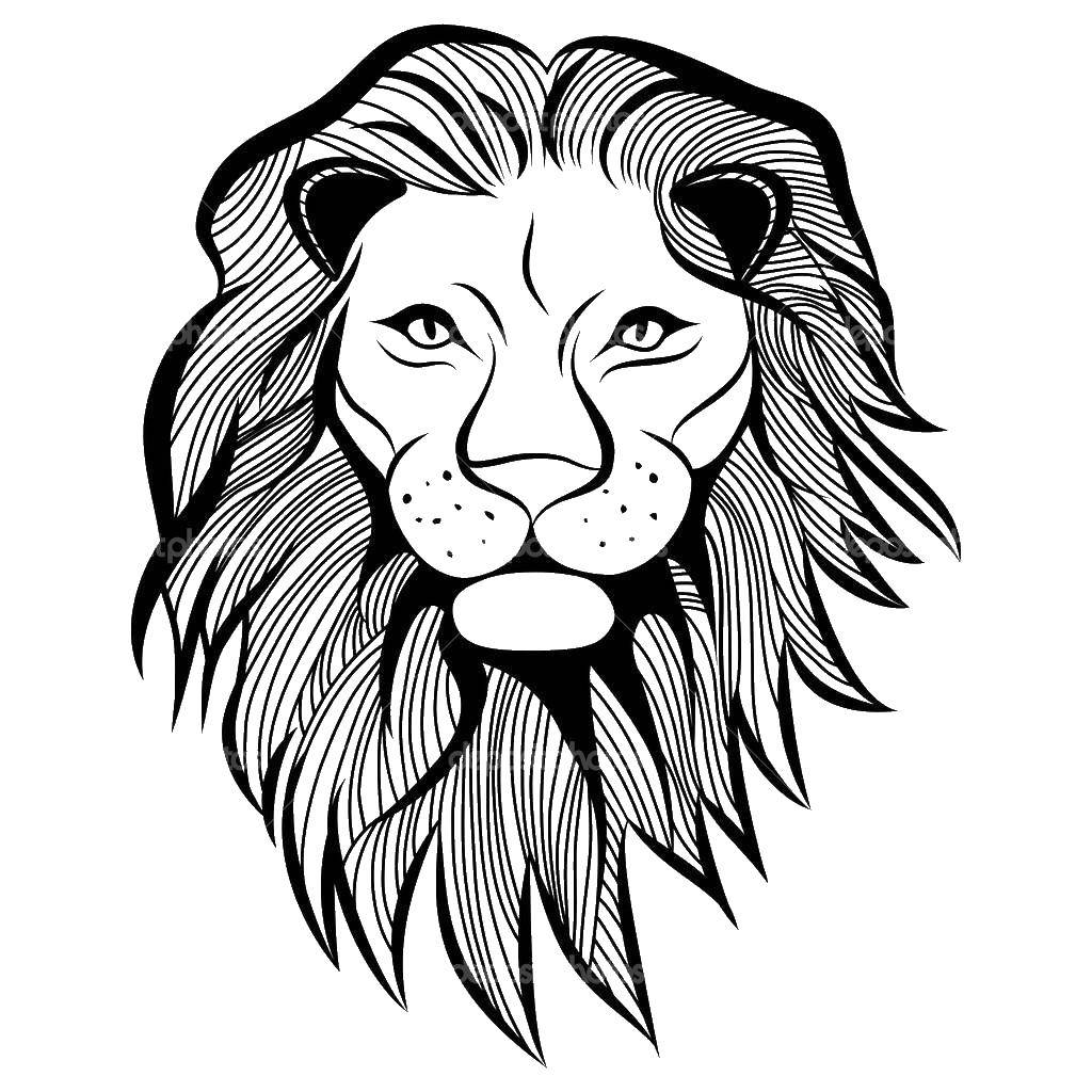 Название: Раскраска Морда льва. Категория: лев. Теги: львы, грива, лев.