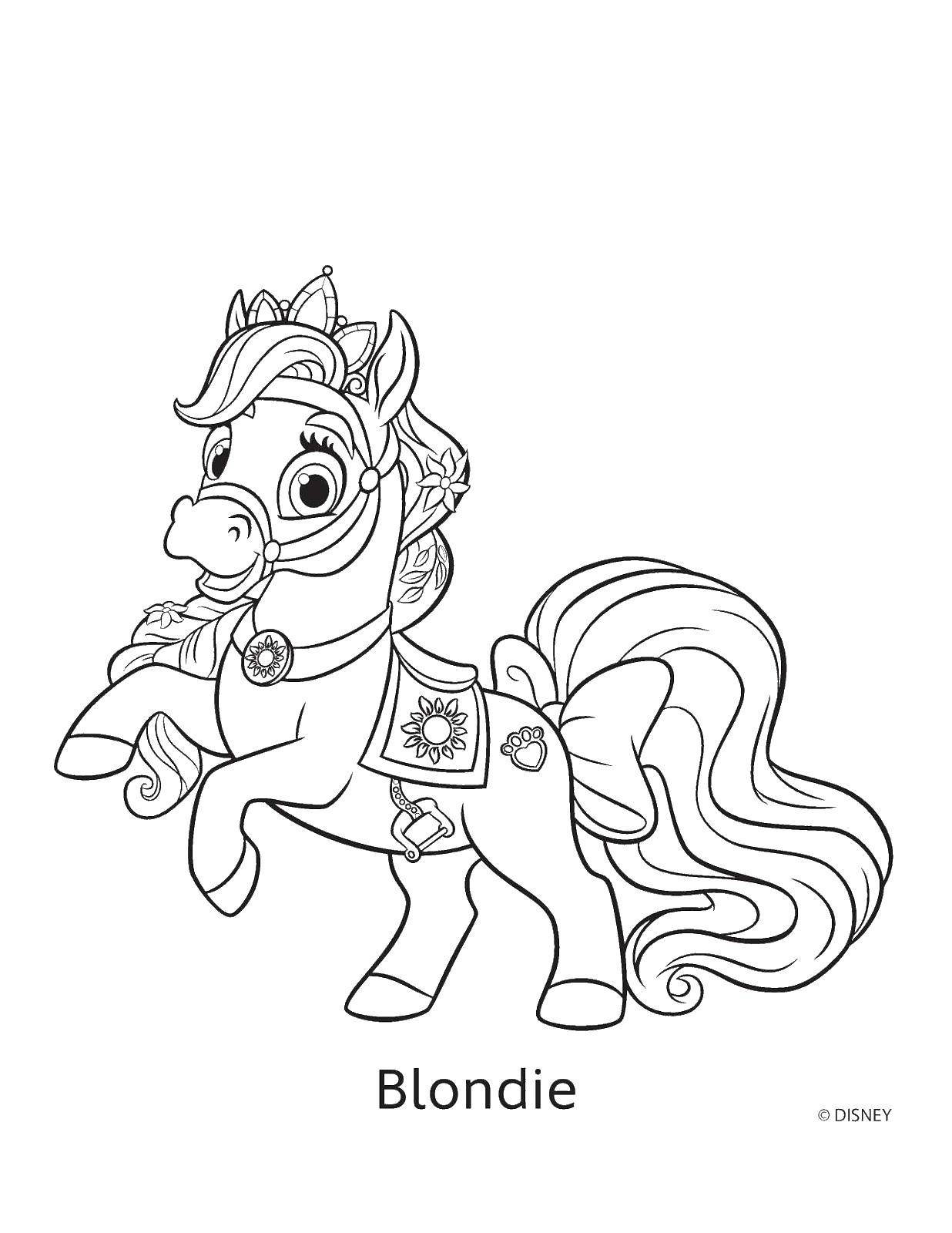 Coloring Pony Blondie. Category my little pony. Tags:  pony, Blondie, mane.