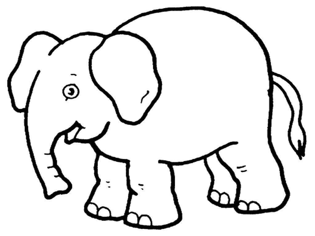 Coloring Joyful elephant. Category animals. Tags:  Animals, elephant.