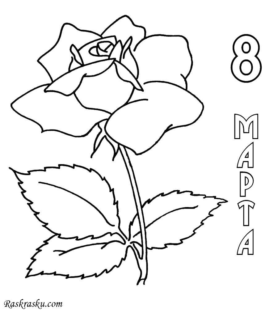 Coloring Rose on March 8. Category holiday. Tags:  holiday, March 8, roses.
