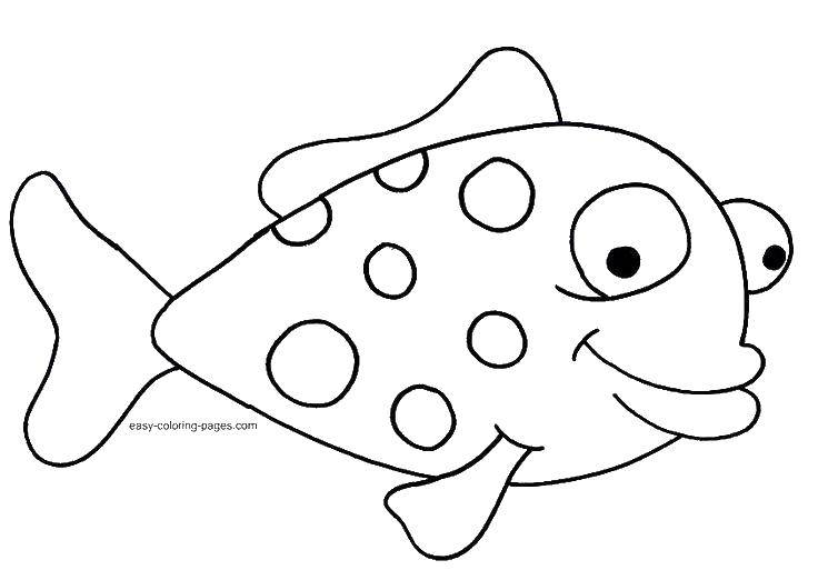 Название: Раскраска Рыба в горошек. Категория: рыбы. Теги: рыба, глаза, хвост.