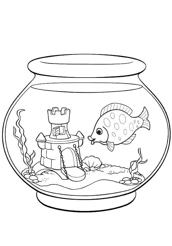 Название: Раскраска Рыбка и замок в аквариуме. Категория: золотая рыбка. Теги: аквариум, рыбка, замок.