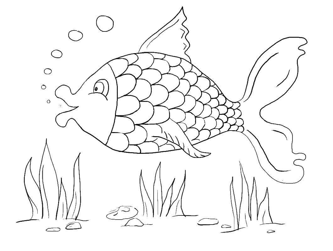 Название: Раскраска Рыбка пускает пызури под водой. Категория: рыбы. Теги: Рыбы, вода, подводный мир.