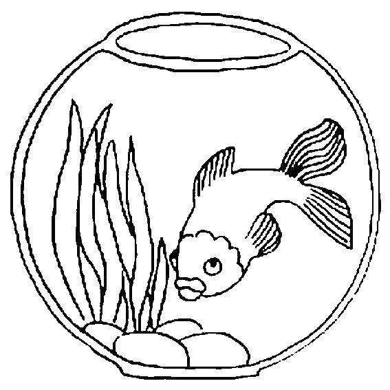 Название: Раскраска Рыбка в аквариуме. Категория: золотая рыбка. Теги: рыбка, аквариум, водоросли.