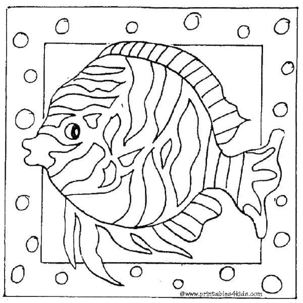 Coloring Fish and bubbles. Category fish. Tags:  fish, bubbles, fin.