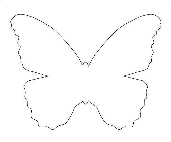 Название: Раскраска Шаблон бабочки для вырезания. Категория: контуры для вырезания бабочек. Теги: шаблоны, контуры, бабочки.