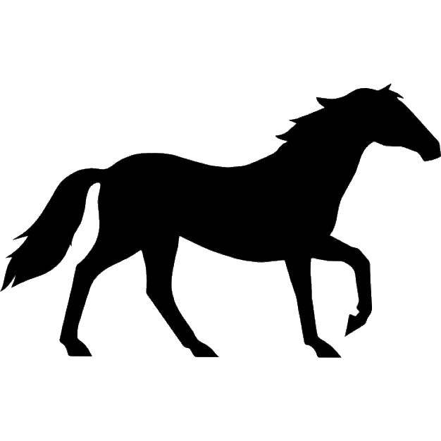 Coloring Template horses. Category the contours of the horse. Tags:  the contours, patterns, horses, horses.