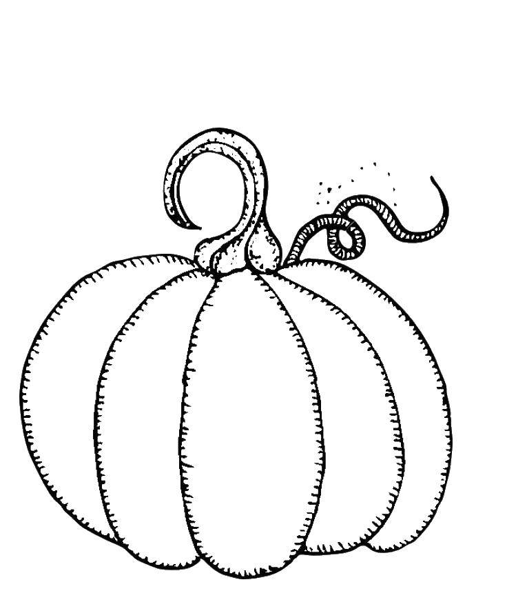 Coloring Pumpkin pattern. Category simple coloring. Tags:  pumpkin, vegetables.