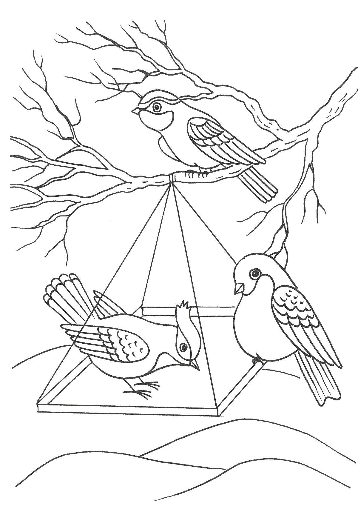 Coloring Birdhouse birds. Category winter. Tags:  birds, snow, birdhouse.