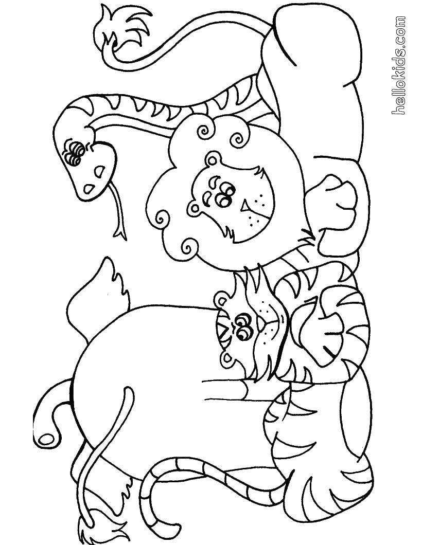 Coloring Elephant, tiger, lion and snake are resting together. Category animals. Tags:  Animals, recreation, fun.