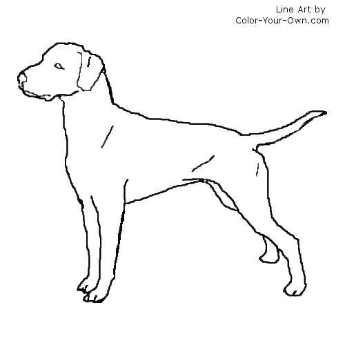 Coloring Dog. Category the contours of the dog. Tags:  dog, animals, dogs.
