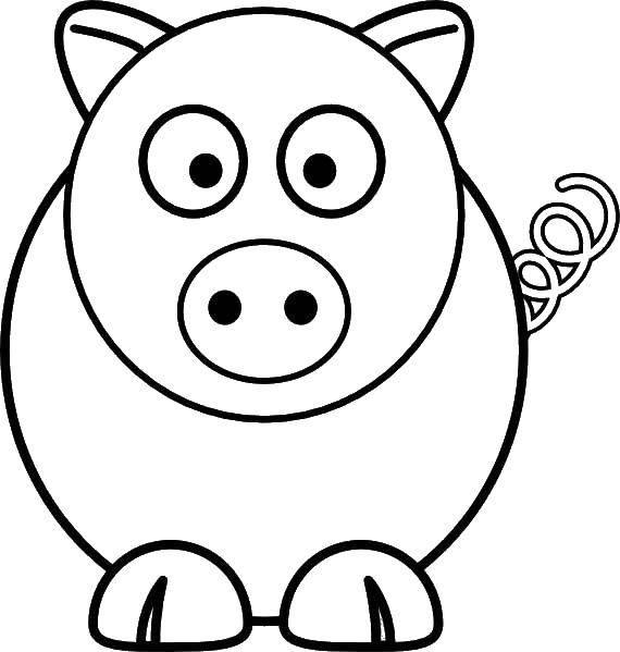Coloring Pig and Piglet. Category simple coloring. Tags:  piggy, Piglet, tail.