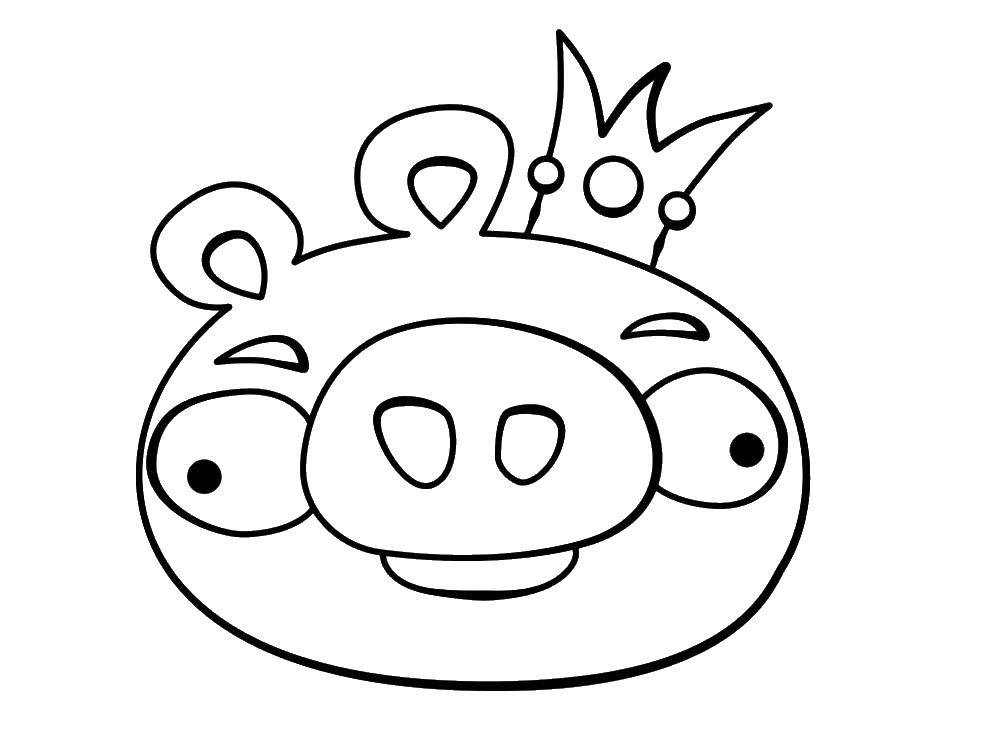 Coloring The pig with the crown of their angry birds. Category angry birds. Tags:  angry birds, pig, crown.