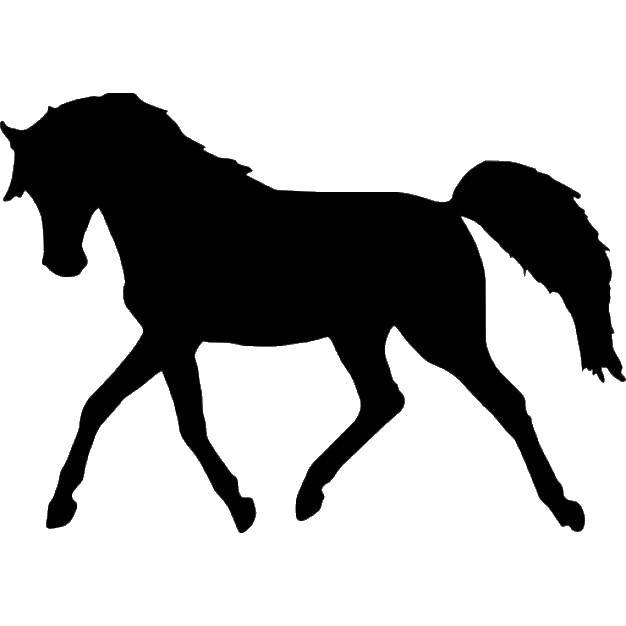 Coloring Shadow horse. Category the contours of the horse. Tags:  shadow, horse, tail.