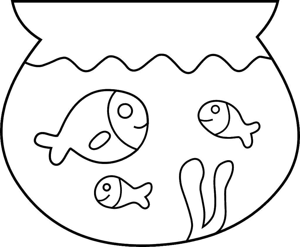 Название: Раскраска Три рыбки в аквариуме. Категория: рыбы. Теги: рыбы, аквариум, вода.