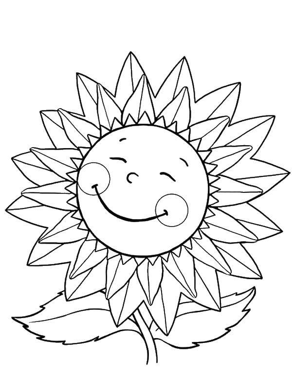 Coloring Flower with face. Category flowers. Tags:  flower, petals, smile, cheeks.