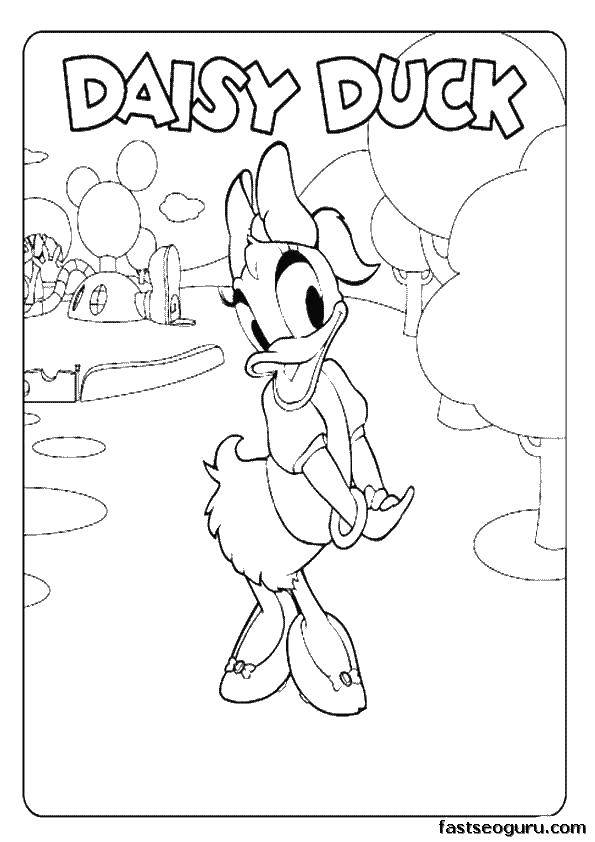 Coloring Duck Daisy. Category cartoons. Tags:  duck, Daisy, flower.