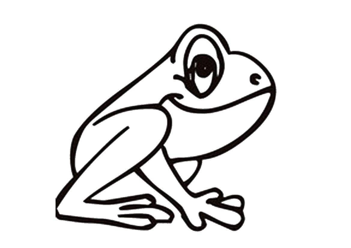 Coloring Jolly frog. Category animals. Tags:  Animals, frog.