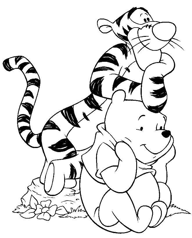 Название: Раскраска Винни пух и тигра. Категория: Диснеевские мультфильмы. Теги: тигра, винни, цветы.