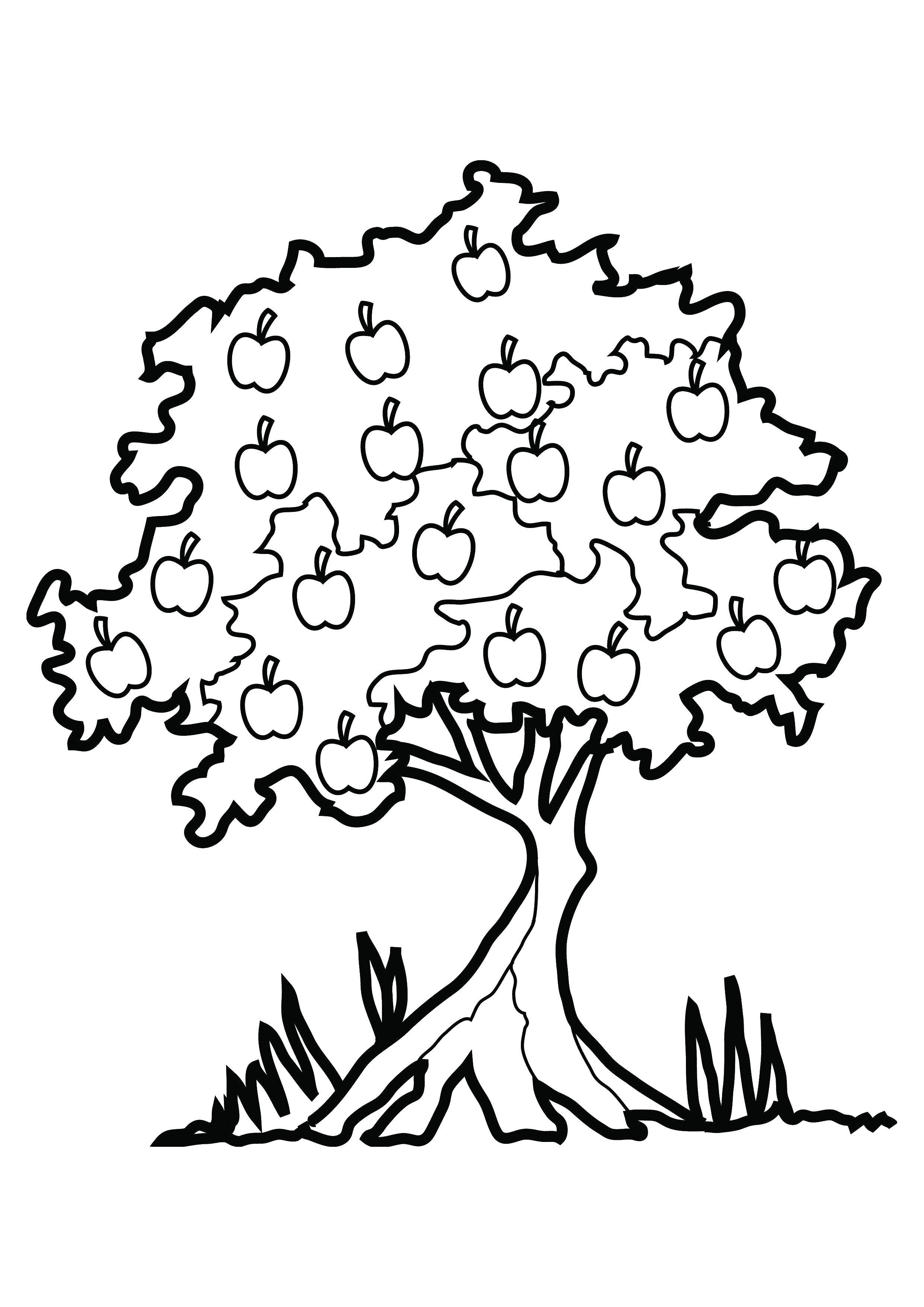 Coloring The Apple tree and the grass. Category The contours of fruit. Tags:  Apple, Apple, grass.