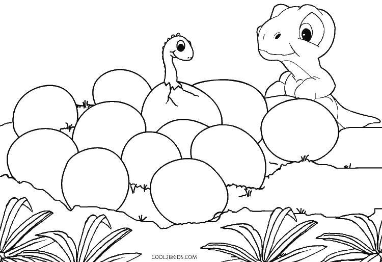 Название: Раскраска Яйца динозавра. Категория: парк юрского периода. Теги: динозавр, яйца.