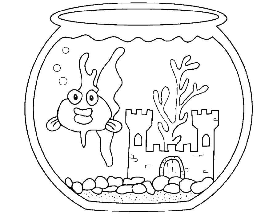 Название: Раскраска Замок и рыба в аквариум. Категория: золотая рыбка. Теги: аквариум, рыбка, замок.