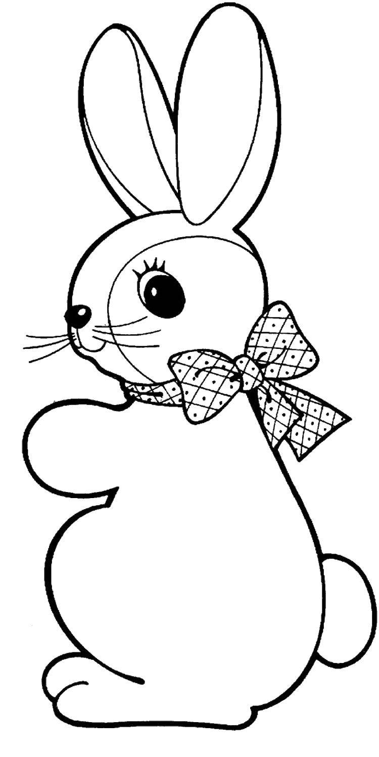 Coloring Bunny with bow. Category animals. Tags:  hare, rabbit.