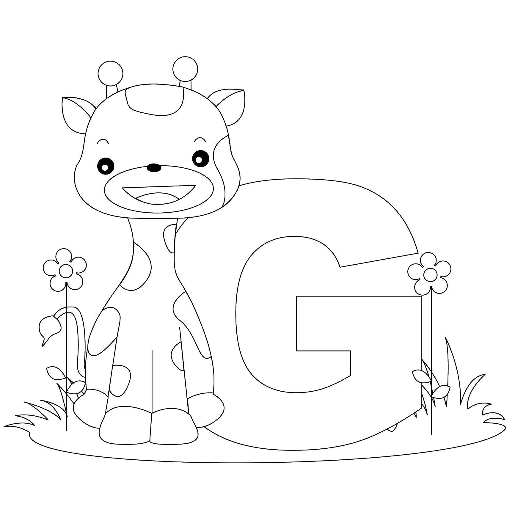 Coloring Giraffe. Category English. Tags:  the English alphabet , letters, .......