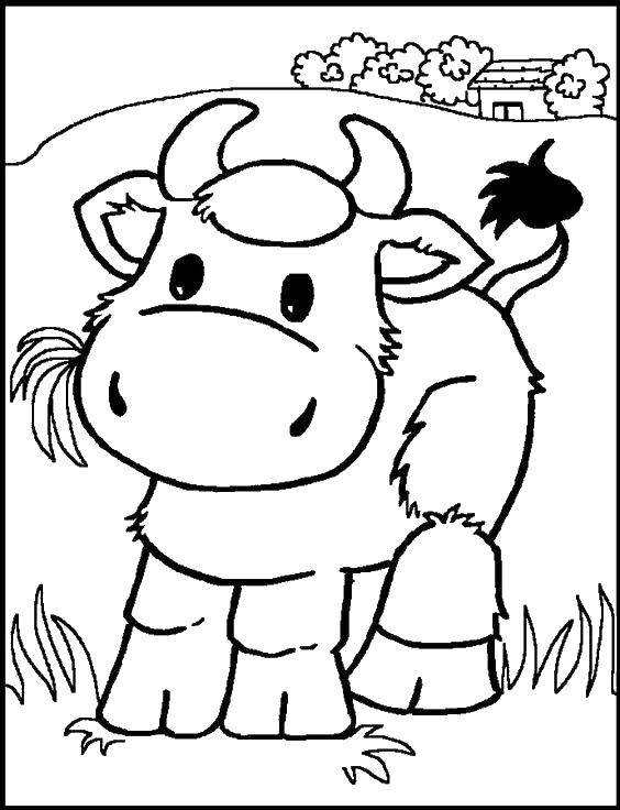 Розмальовки  Корова їсть траву на лузі. Завантажити розмальовку Тварини, корова.  Роздрукувати ,тварини,