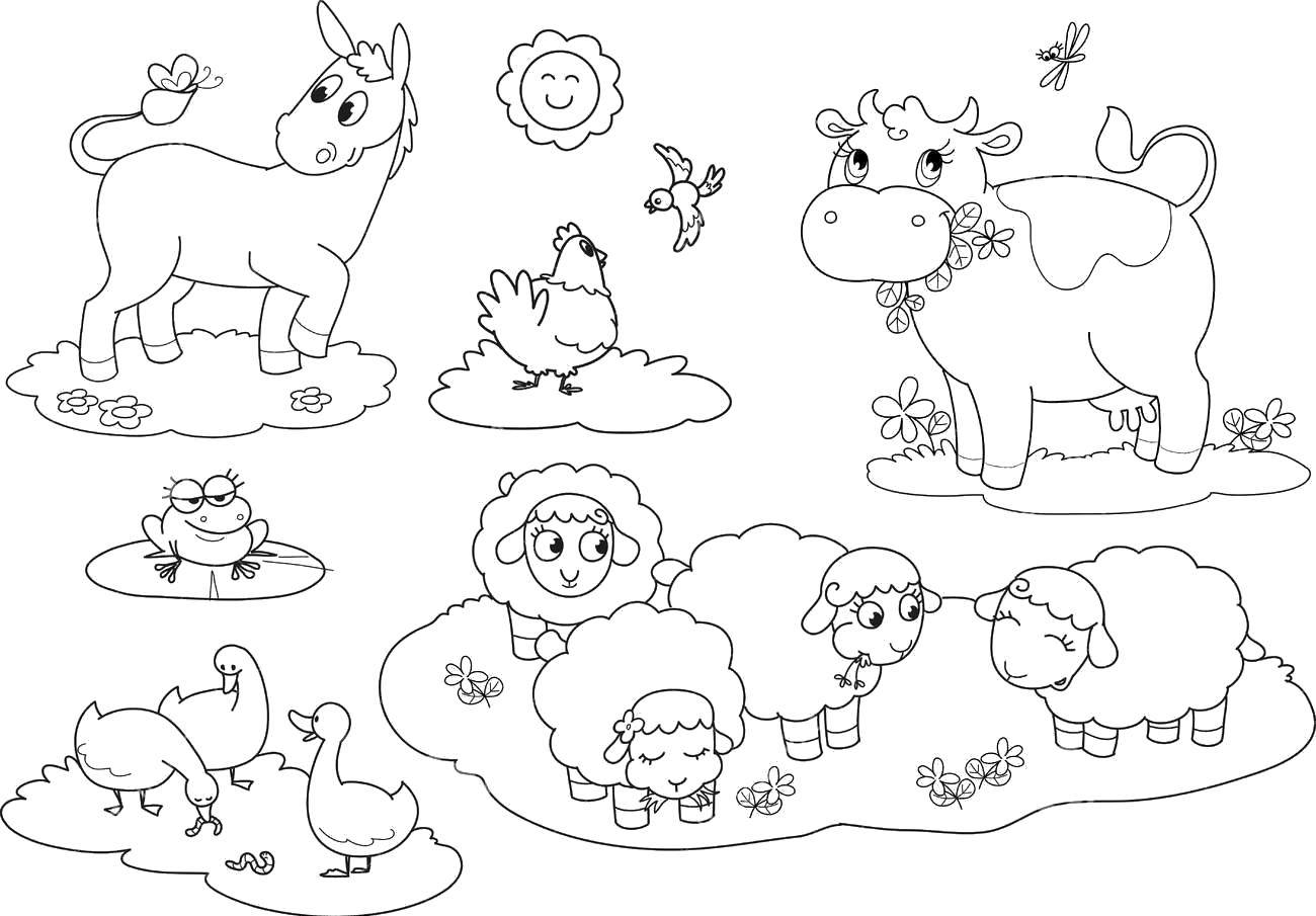 Опис: розмальовки  Ослик, курочка, жаба, гуси, корівка і овечки грають разом. Категорія: тварини. Теги:  тварини, гра, веселощі.