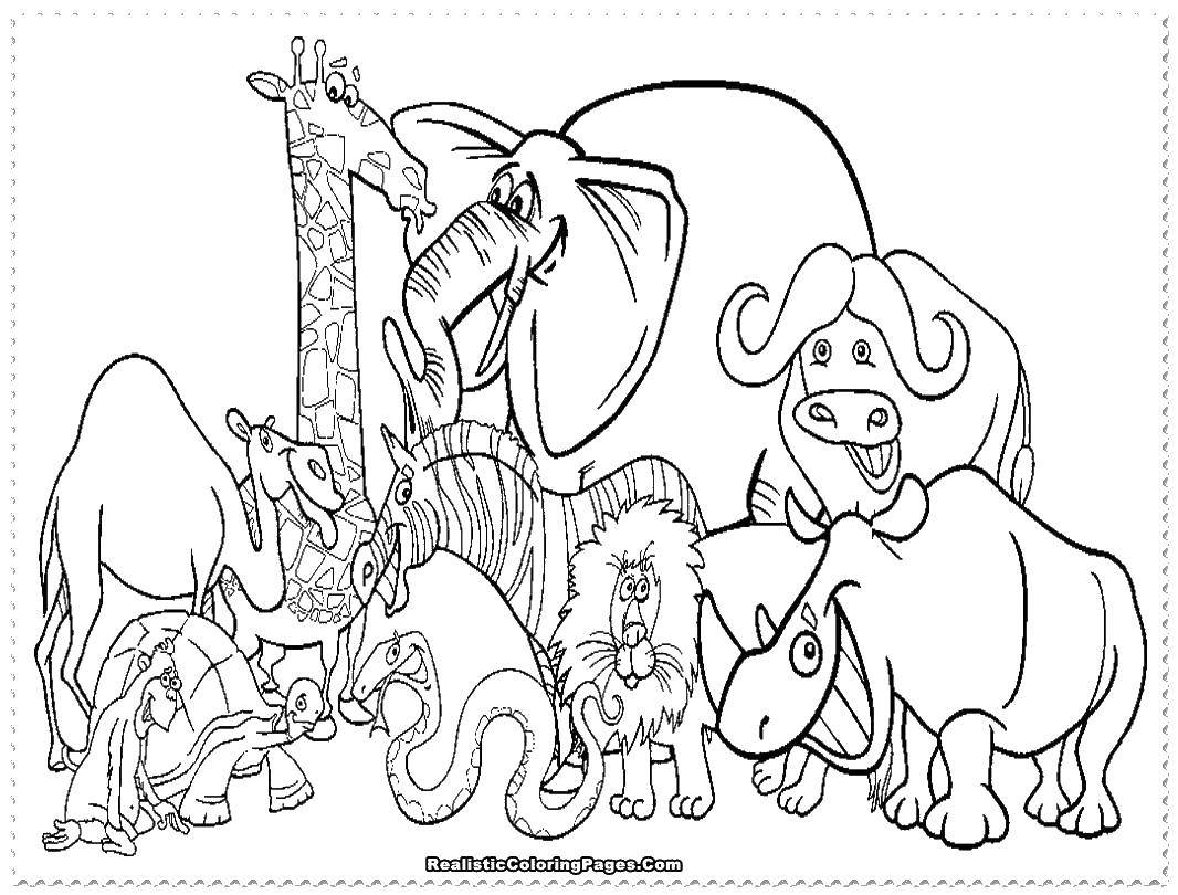 Coloring African animal life. Category Zoo. Tags:  Zoo, animals.