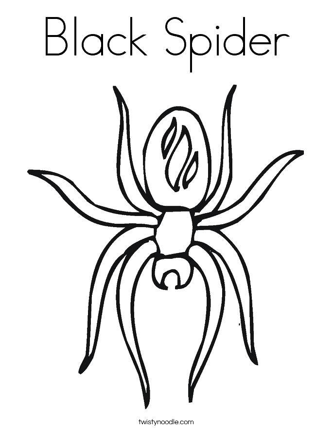 Название: Раскраска Черная вдова. Категория: Контур паук. Теги: паук, лапы, вдова.