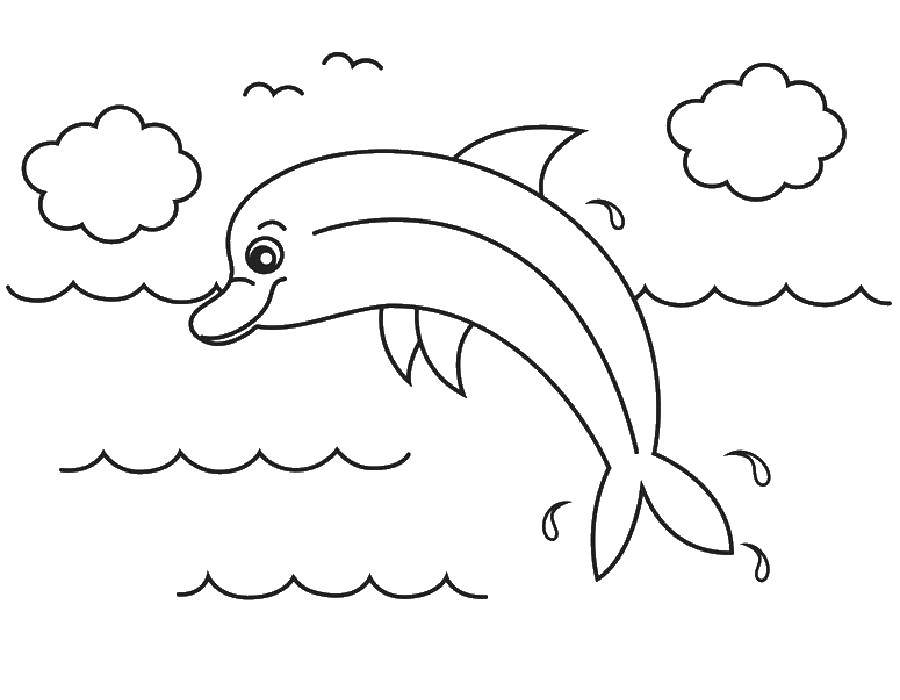 Название: Раскраска Дельфин и облака. Категория: дельфин. Теги: дельфин, облака, вода.