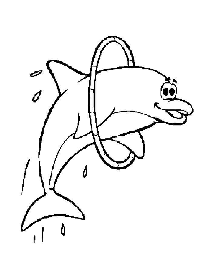 Название: Раскраска Дельфин прыгнул через кольцо. Категория: дельфин. Теги: Подводный мир, дельфин.